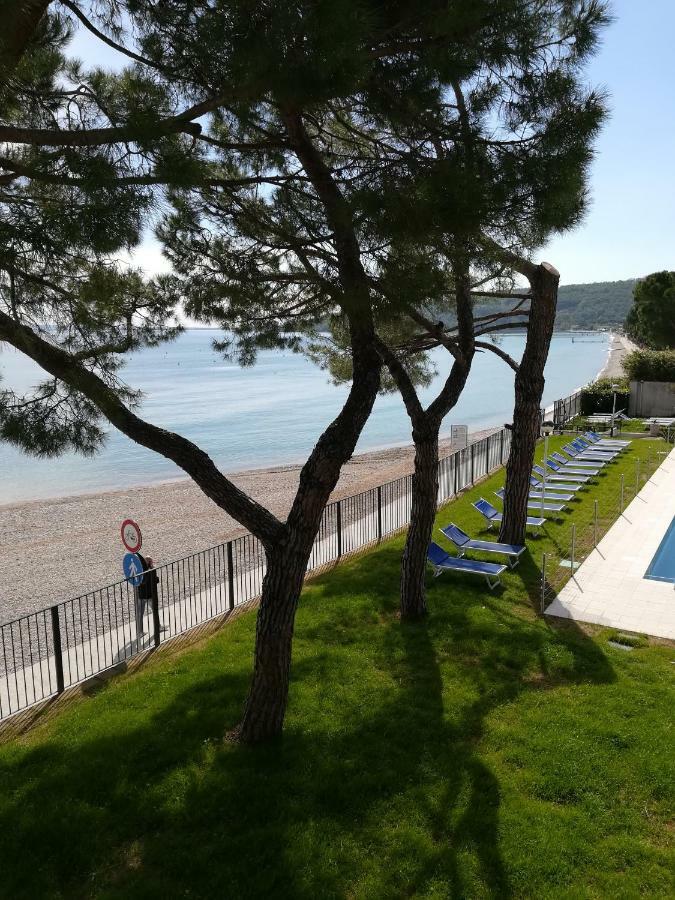 Villaggio Turistico Dei Tigli بادينغي سول غاردا المظهر الخارجي الصورة